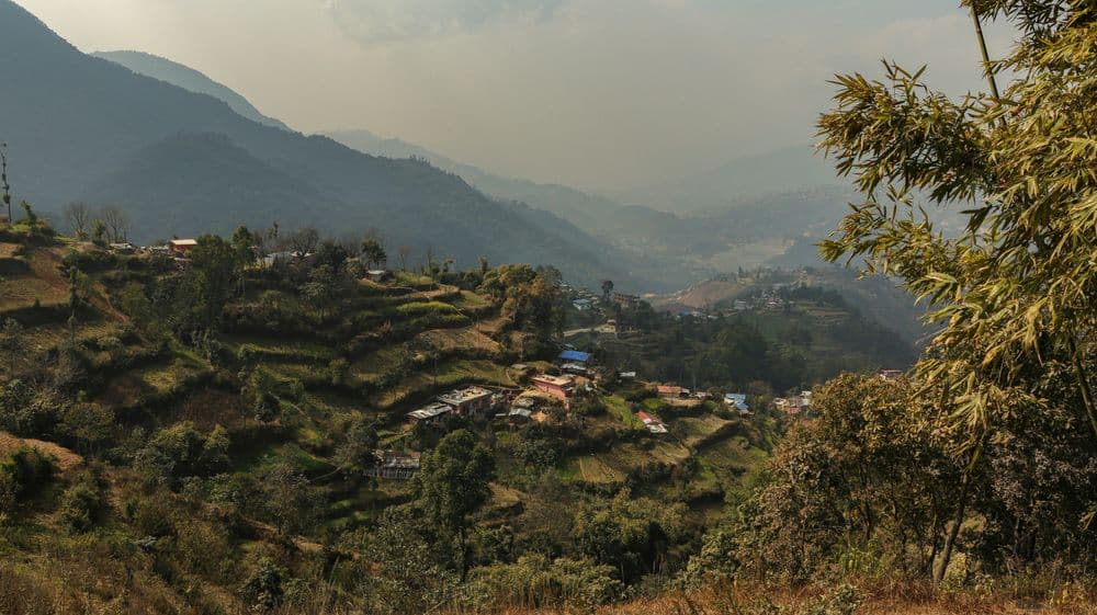 gulmi3.jpg